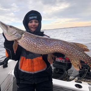 Meet your Posher, Aaron